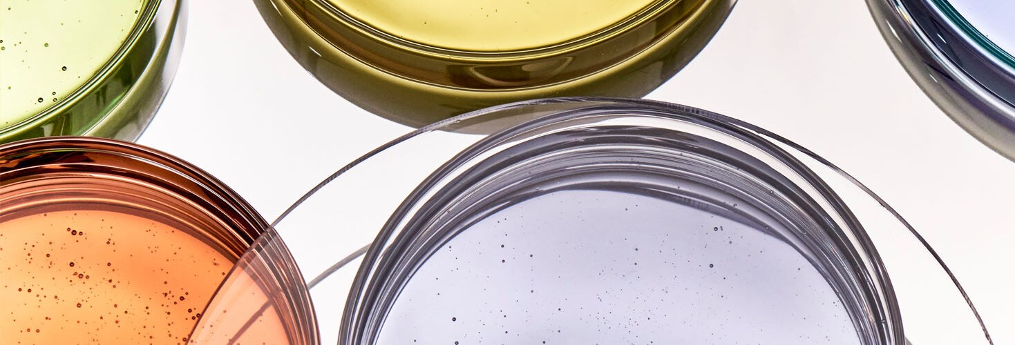 Dr.Jart+ Essences and Toners